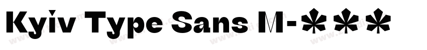 Kyiv Type Sans M字体转换